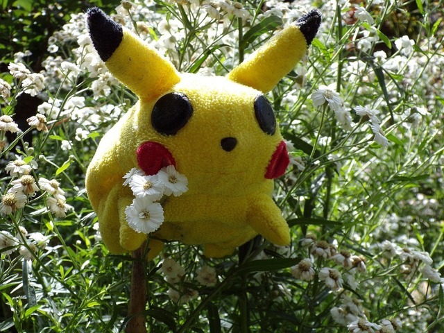 pokemon-1557682_960_720.jpg