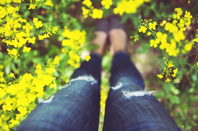 legs-766046_960_720.jpg