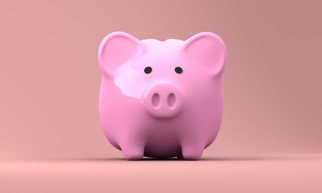 piggy-bank-2889042_960_720.jpg