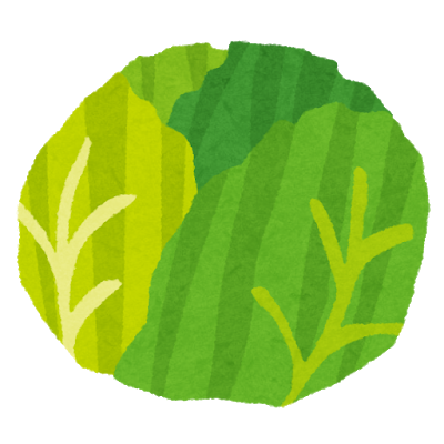 vegetable_cabbage2.png